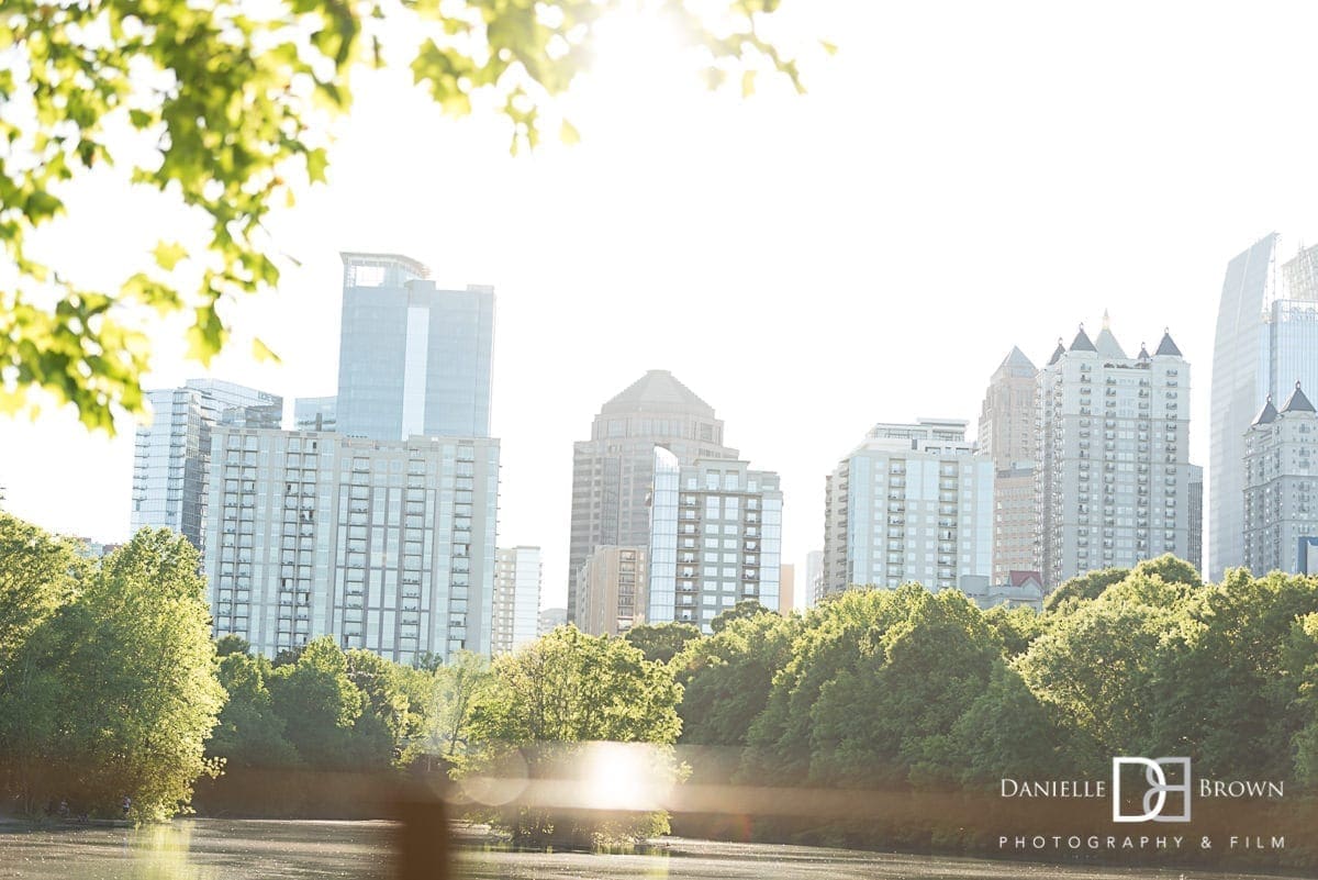 surprise piedmont park proposal