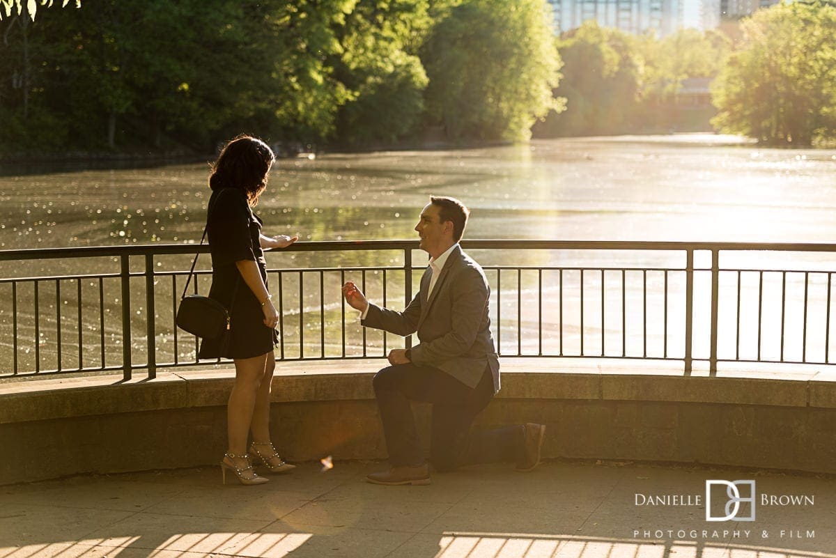 surprise piedmont park proposal