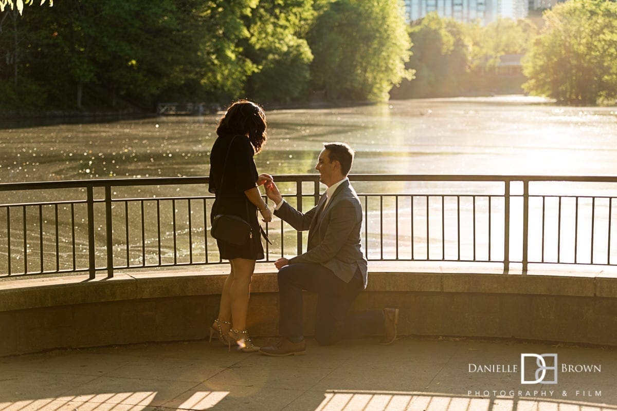 surprise piedmont park proposal