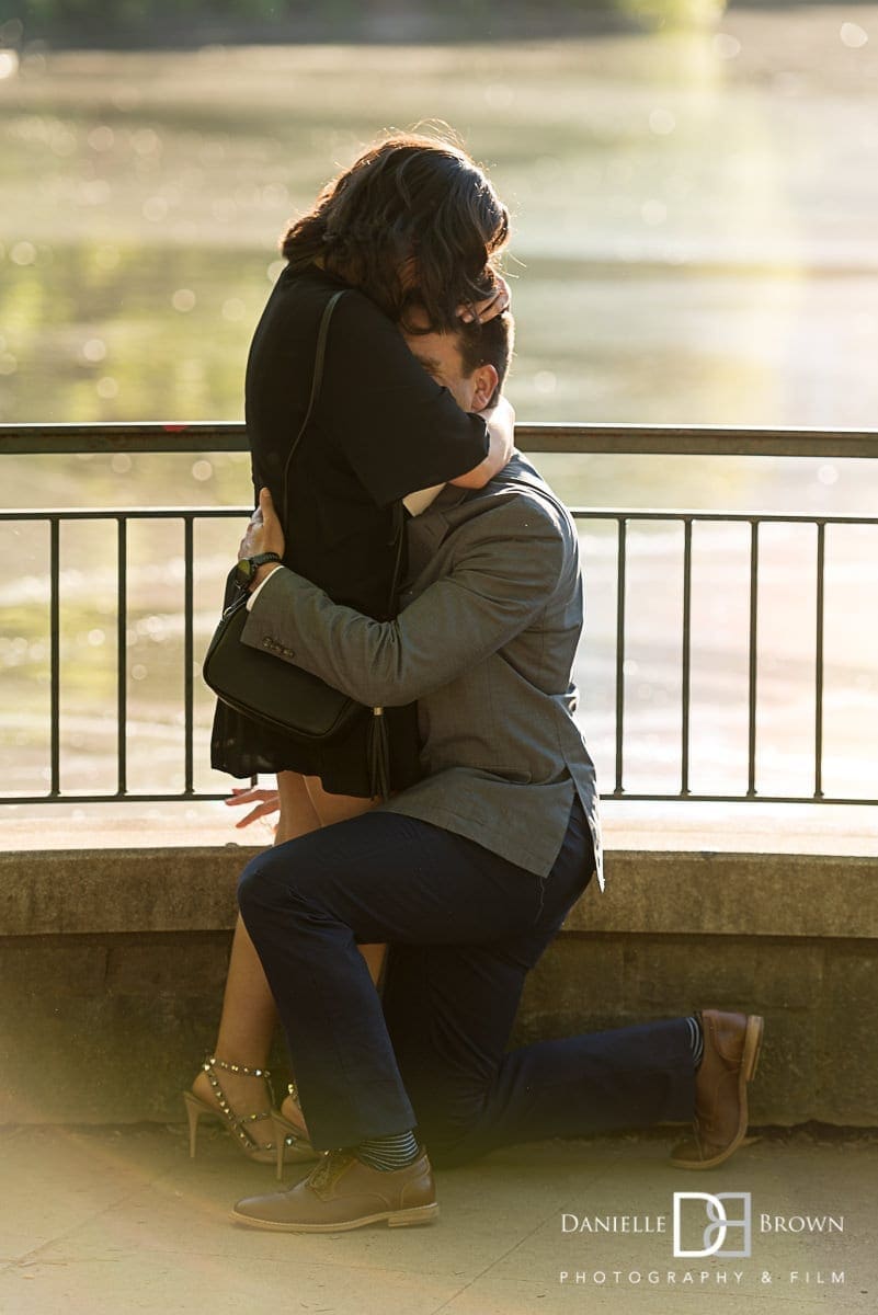 surprise piedmont park proposal