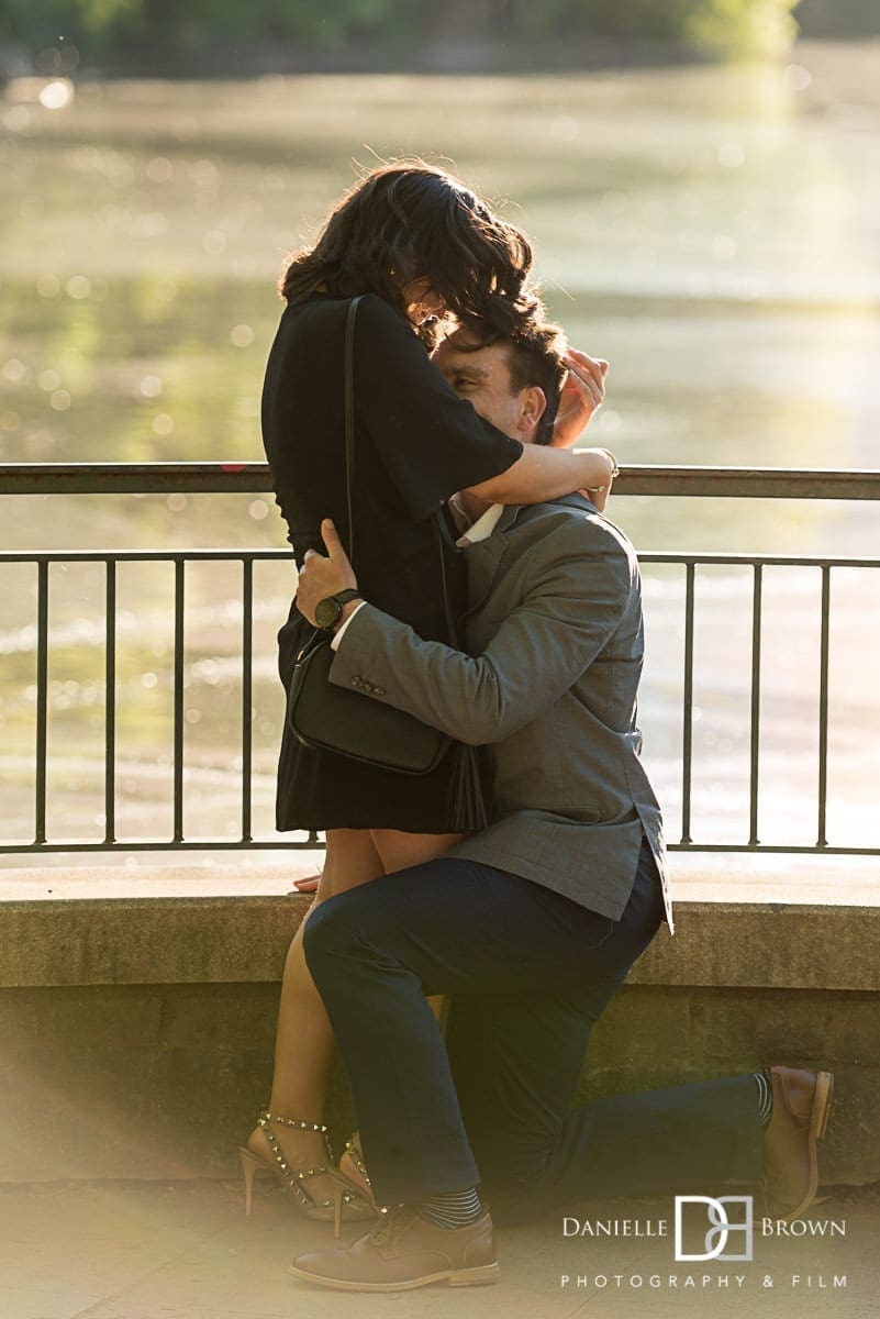 surprise piedmont park proposal