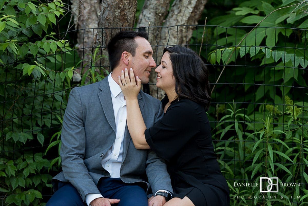 surprise piedmont park proposal