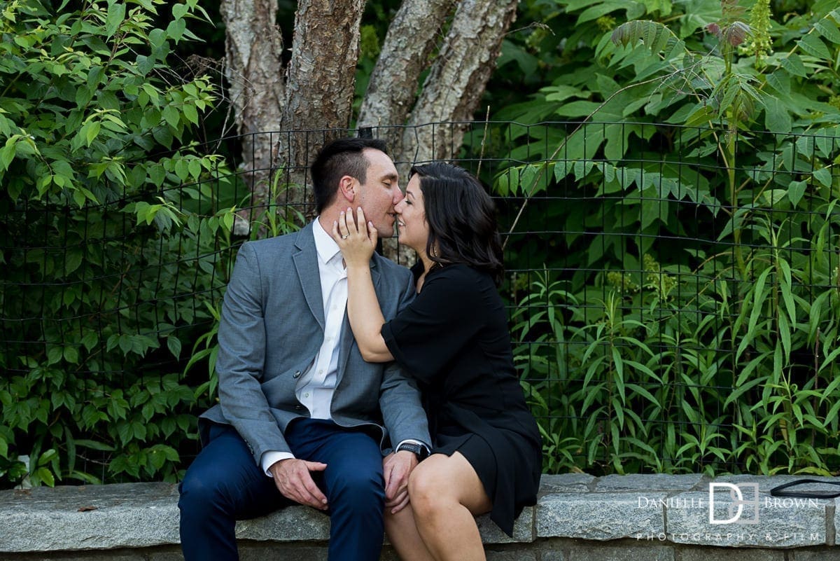surprise piedmont park proposal