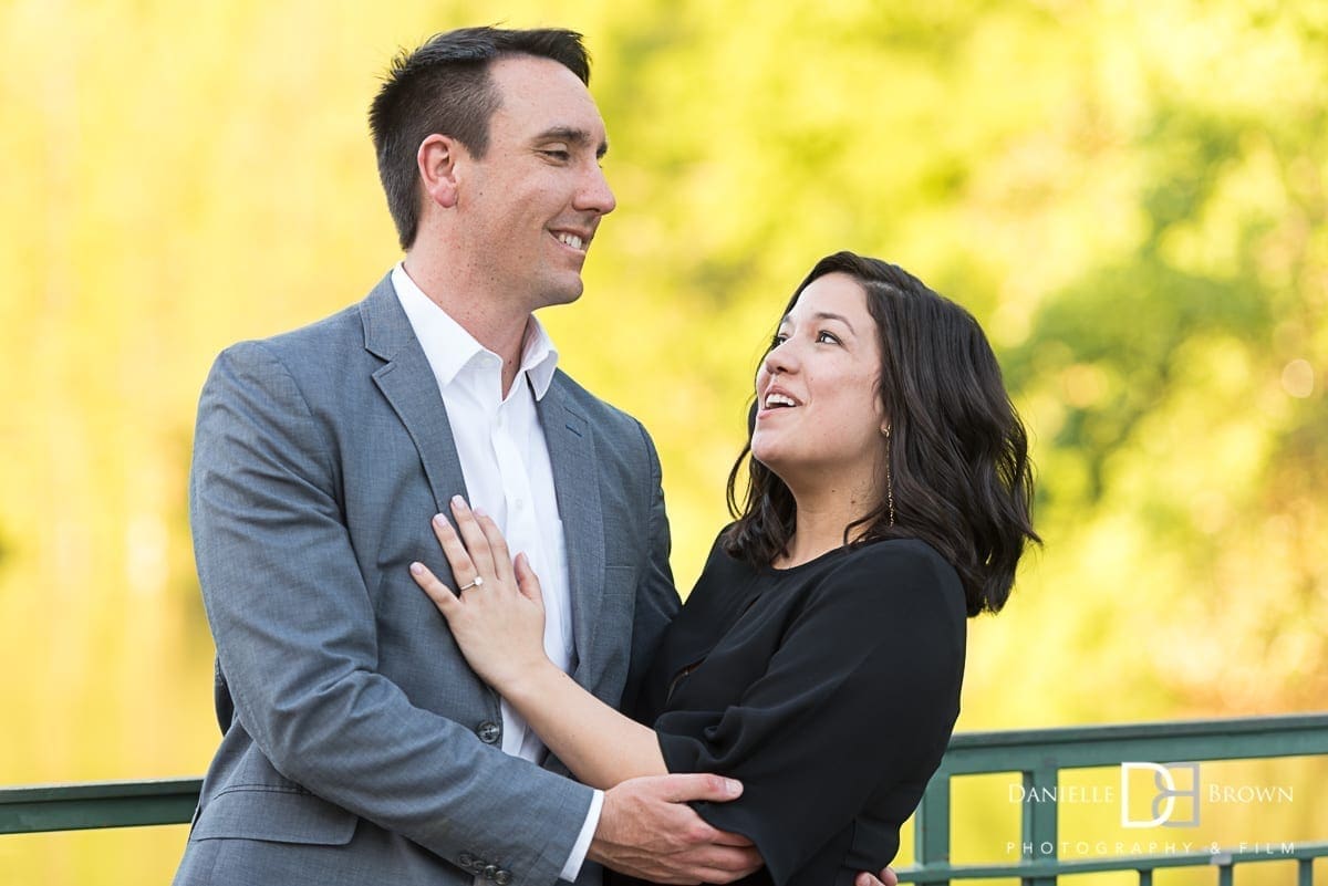 surprise piedmont park proposal
