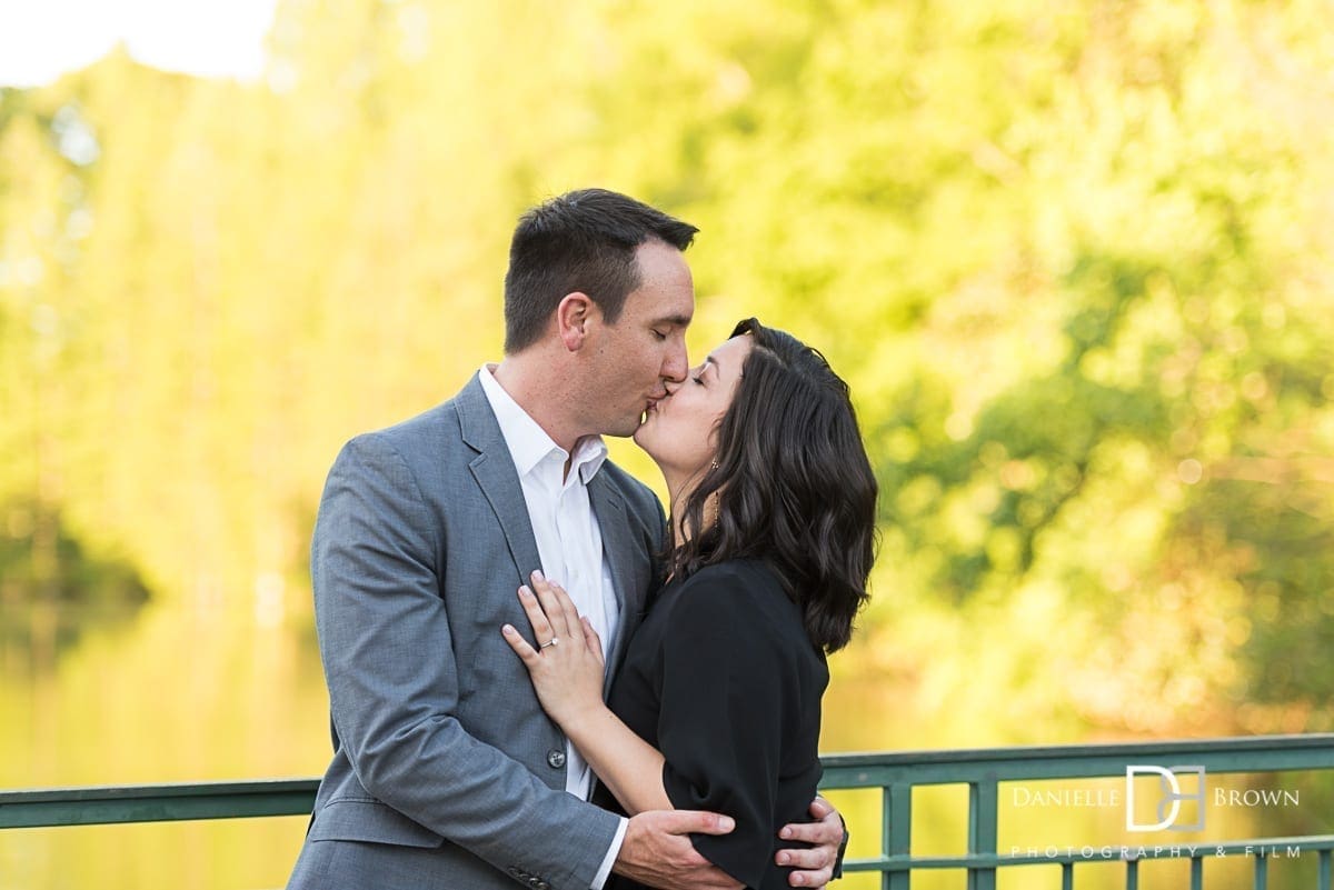 surprise piedmont park proposal