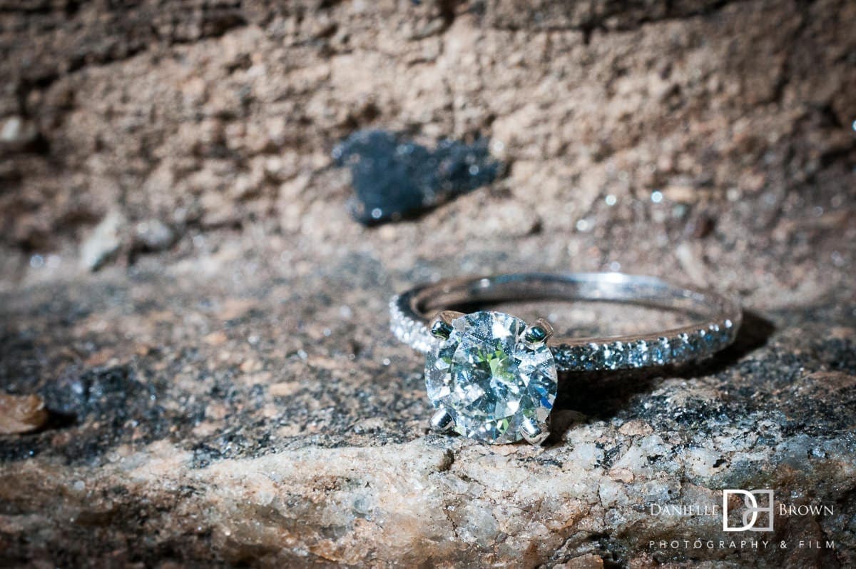 surprise piedmont park proposal
