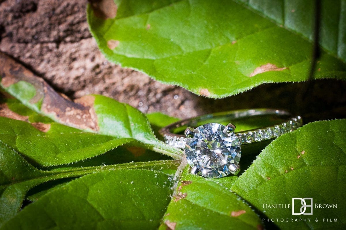 surprise piedmont park proposal
