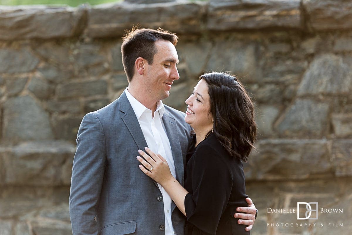 surprise piedmont park proposal