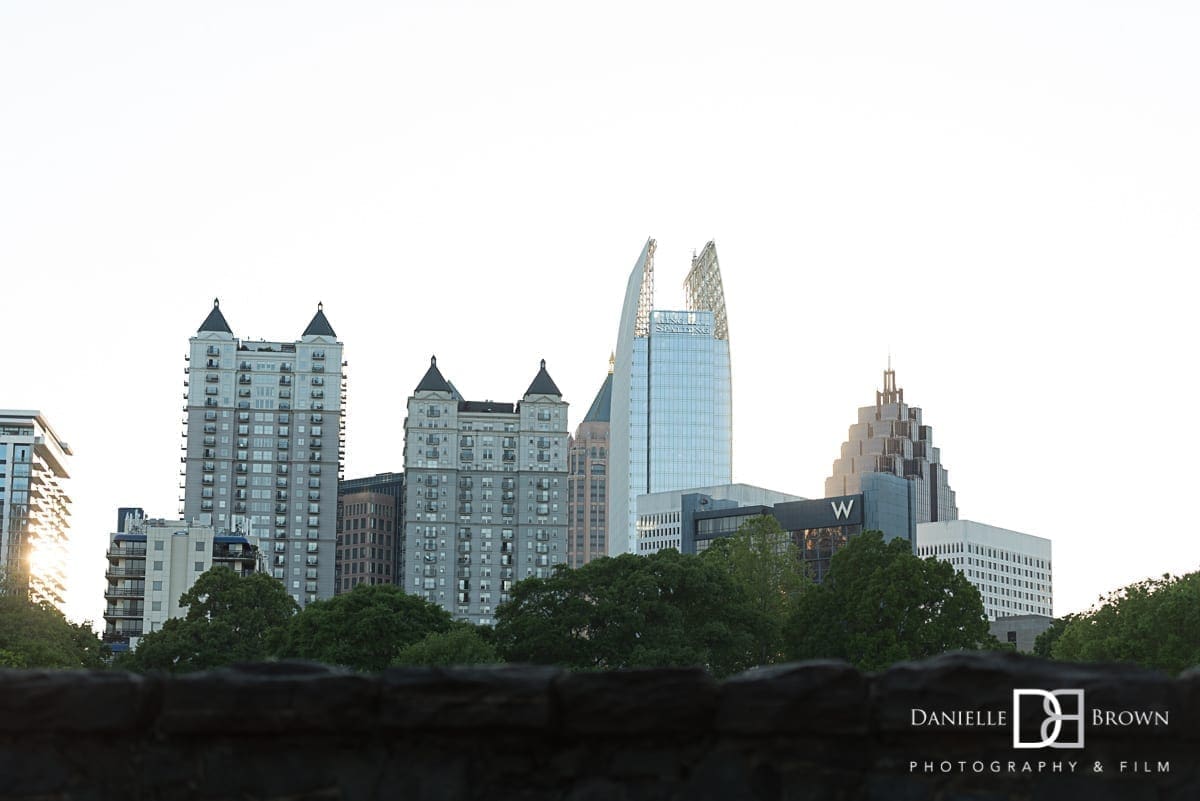 surprise piedmont park proposal