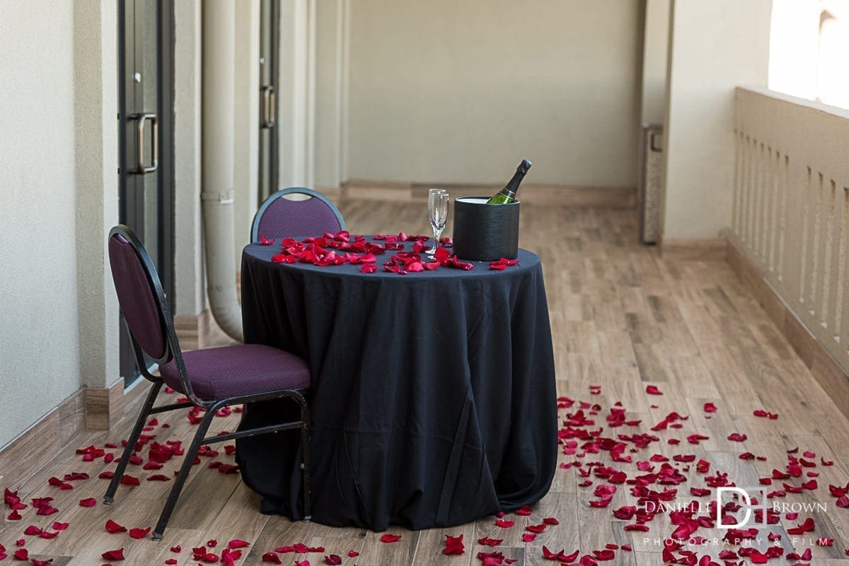 Chateau Elan Surprise Proposal