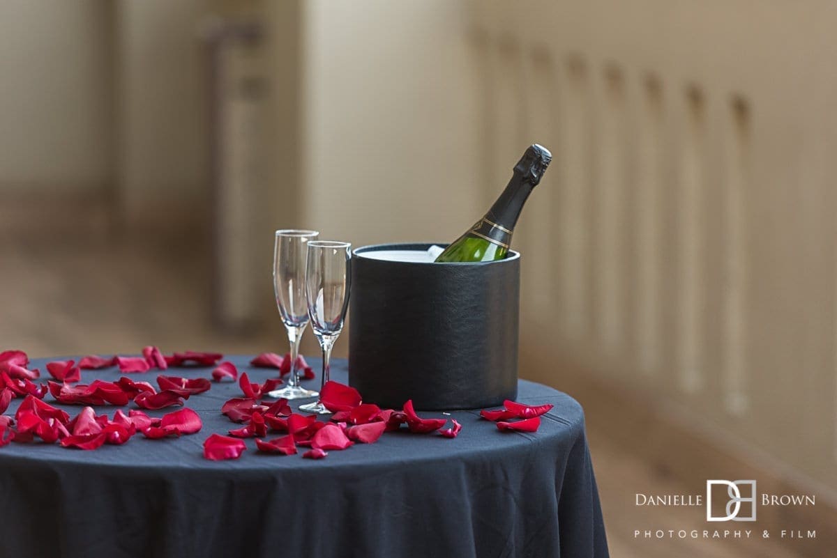 Chateau Elan Surprise Proposal