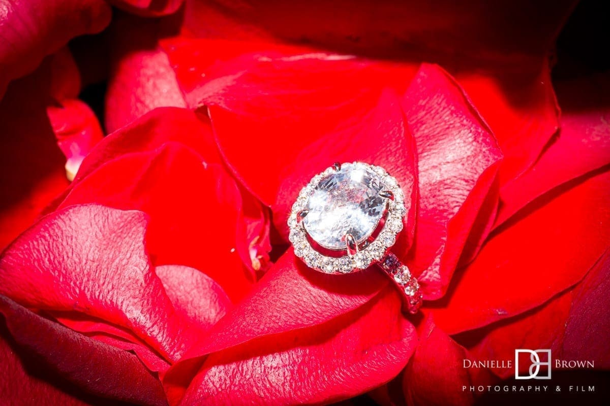 Chateau Elan Surprise Proposal