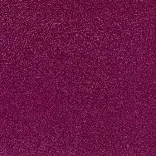 Purple Grape Genuine Leather Album Cover