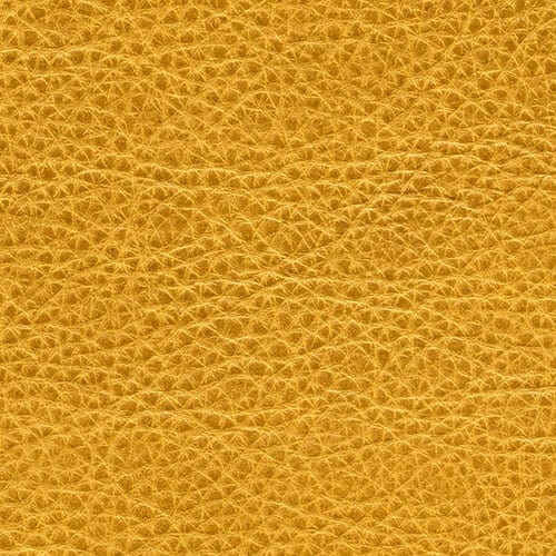 Tan Genuine Leather Album Cover
