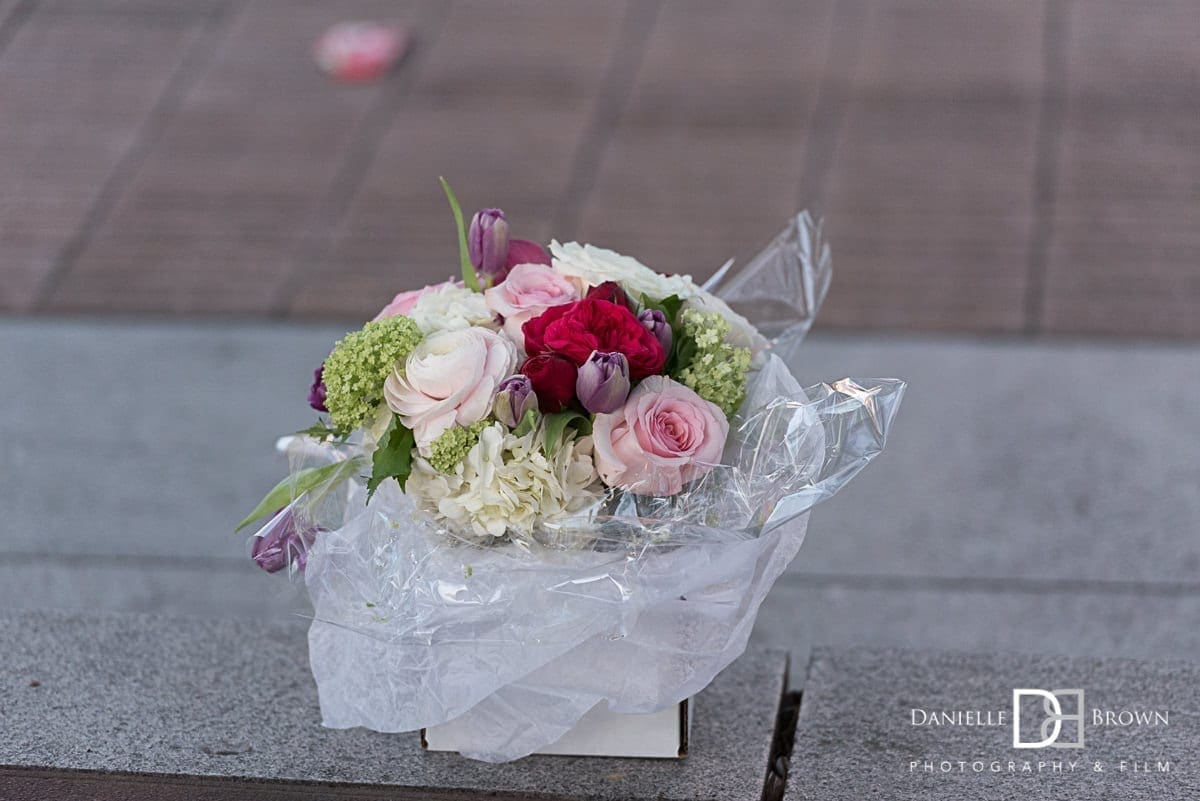 Centennial Park Surprise Proposal